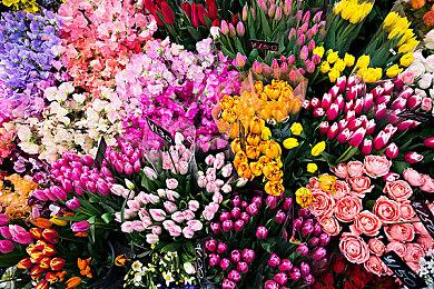 据报道索尼《星鸣特攻》开发成本为4亿美元